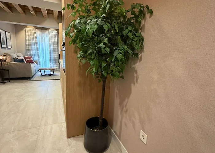 Turisticos De 34 Collado Apartahotel